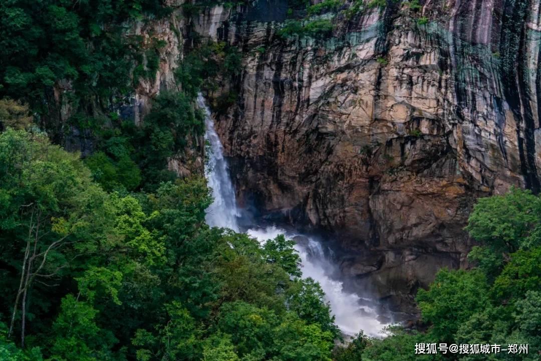 拯救精灵的土地5